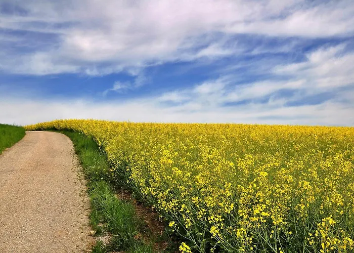 Wohngesundes ökohaus 'heimathafen' Ottendorf (Saxony)